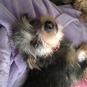 Meet your Posher, Mistyne